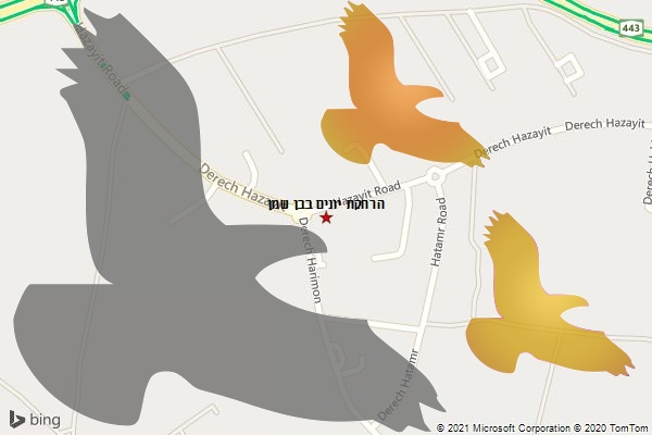 הרחקת יונים בבן שמן