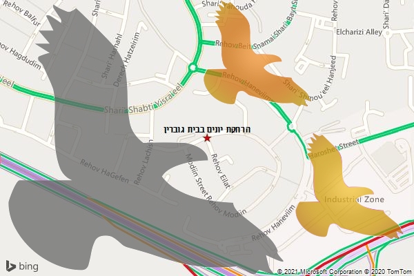 הרחקת יונים בבית גוברין
