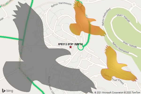הרחקת יונים ברכסים
