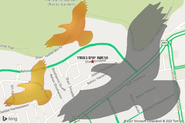 הרחקת יונים בסמדר