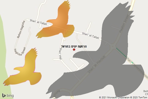 הרחקת יונים בחניאל