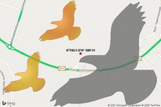 מרחיק יונים בגאולים - הרחקת יונים בגאולים