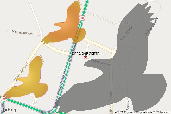 הרחקת יונים ברחוב