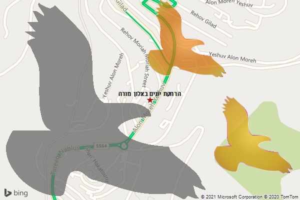 הרחקת יונים באלון מורה