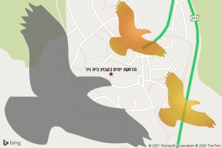 מרחיק יונים בקבוץ בית ניר - הרחקת יונים בקבוץ בית ניר