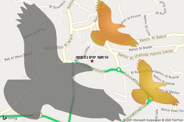 הרחקת יונים בפסוטה