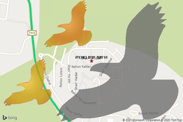 הרחקת יונים בשכניה