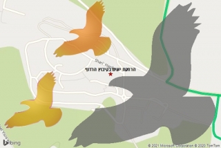מרחיק יונים בקיבוץ הרדוף - הרחקת יונים בקיבוץ הרדוף
