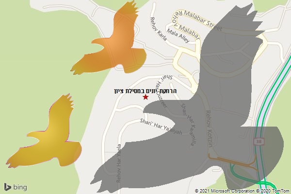 הרחקת יונים במסילת ציון