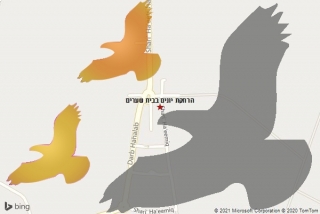 מרחיק יונים בבית שערים - הרחקת יונים בבית שערים