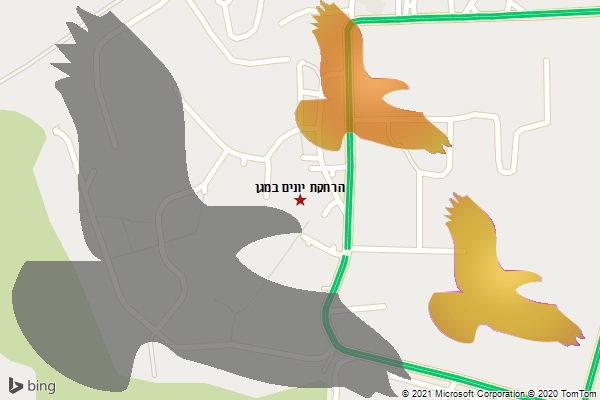 הרחקת יונים במגן