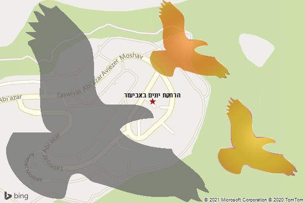 הרחקת יונים באביעזר