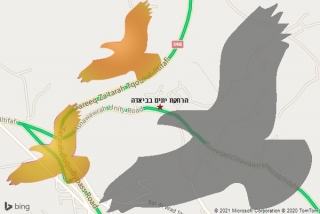  בביאדה - הרחקת יונים בביאדה