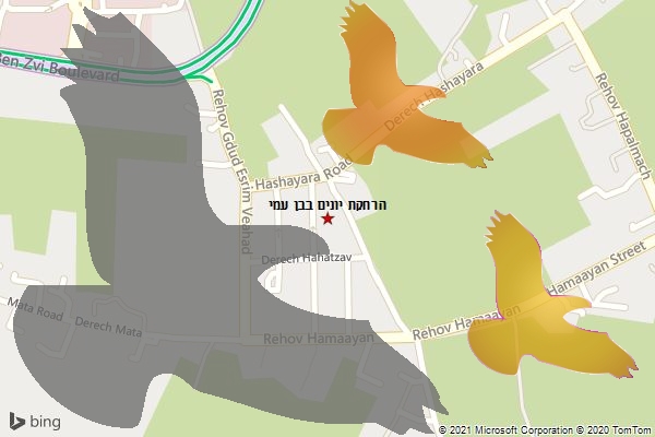 הרחקת יונים בבן עמי