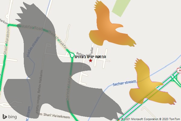 הרחקת יונים בעדנים