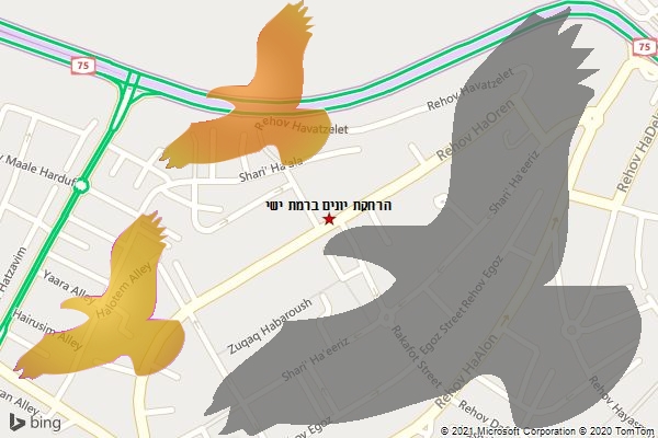 הרחקת יונים ברמת ישי