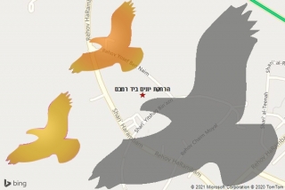 מרחיק יונים ביד רמבם - הרחקת יונים ביד רמבם