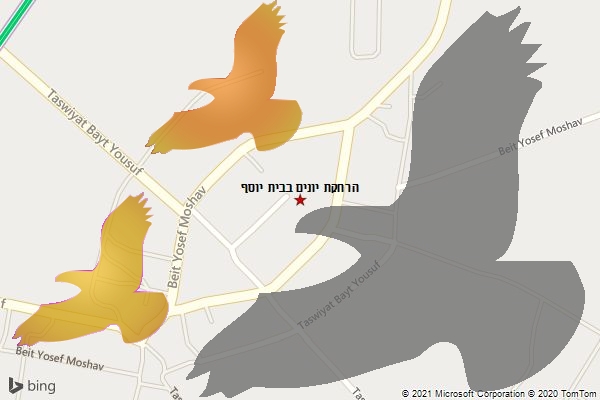הרחקת יונים בבית יוסף