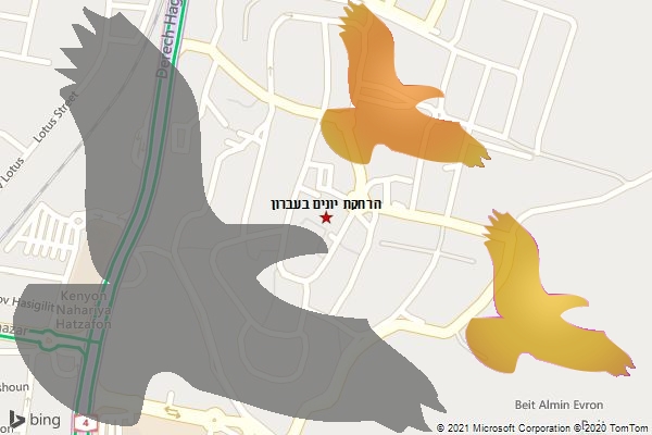 הרחקת יונים בעברון