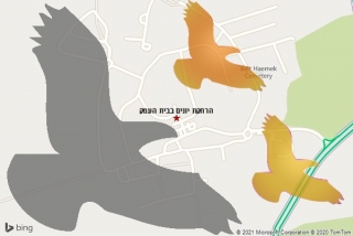 מרחיק יונים בבית העמק - הרחקת יונים בבית העמק