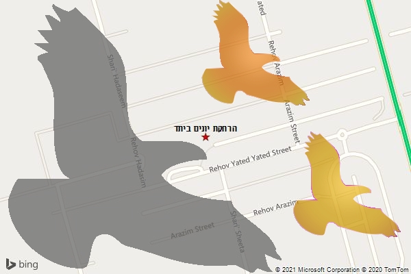 הרחקת יונים ביתד