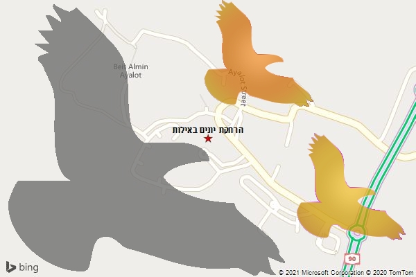 הרחקת יונים באילות