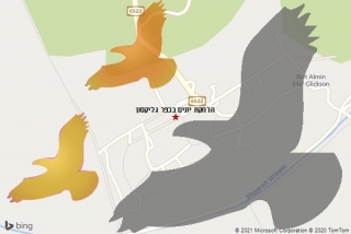מרחיק יונים בכפר גליקסון - הרחקת יונים בכפר גליקסון