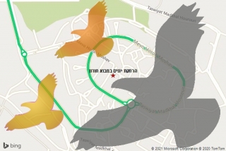 מרחיק יונים במבוא חורון - הרחקת יונים במבוא חורון