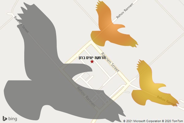הרחקת יונים ברנן