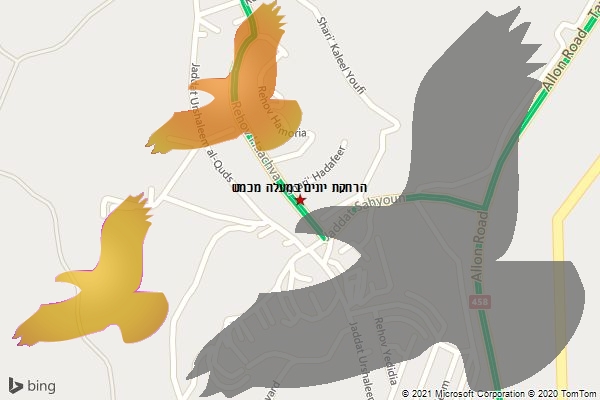 הרחקת יונים במעלה מכמש
