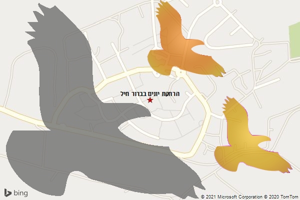הרחקת יונים בברור חיל