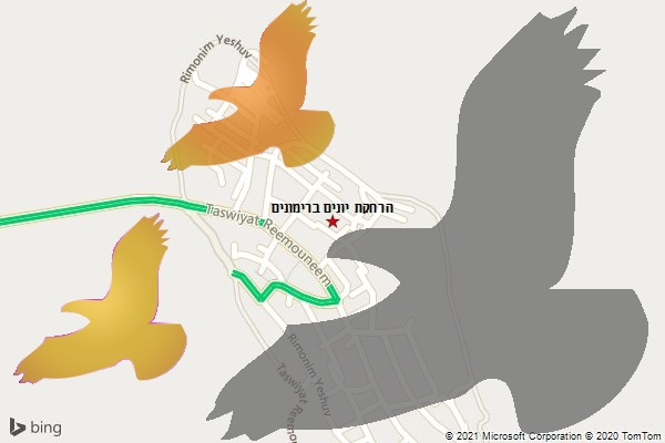 הרחקת יונים ברימונים