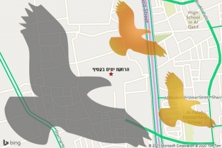 מרחיק יונים בקטיף - הרחקת יונים בקטיף