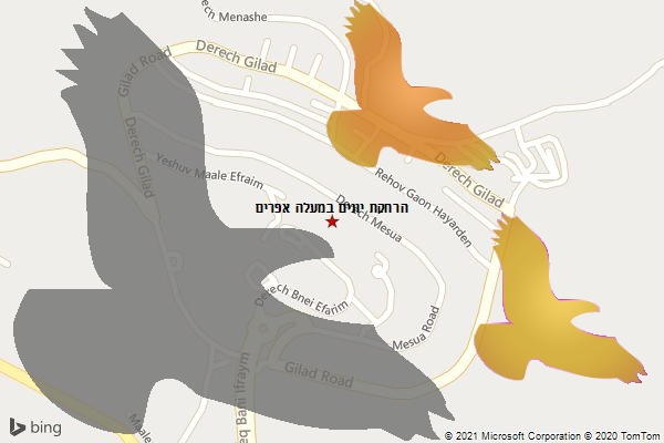 הרחקת יונים במעלה אפרים