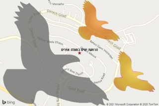 מרחיק יונים במעלה אפרים - הרחקת יונים במעלה אפרים