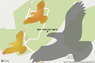 מרחיק יונים באלוני יצחק - הרחקת יונים באלוני יצחק