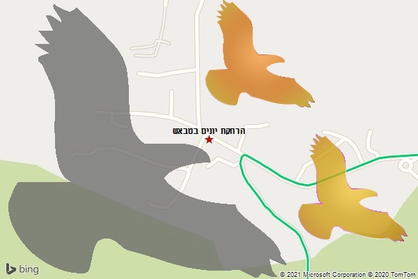 הרחקת יונים בטבאש