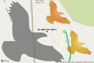 מרחיק יונים במשגב עם - הרחקת יונים במשגב עם