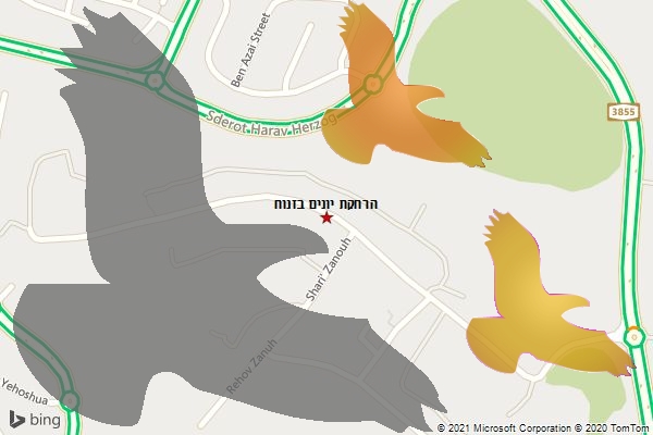 הרחקת יונים בזנוח