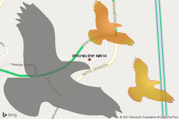 הרחקת יונים בשיבולים