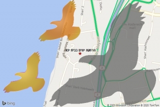 מרחיק יונים בבית ינאי - הרחקת יונים בבית ינאי
