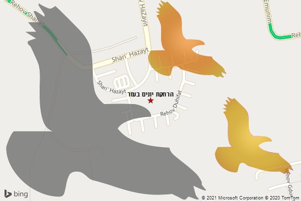 הרחקת יונים בעזר