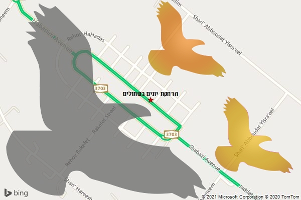הרחקת יונים בשתולים