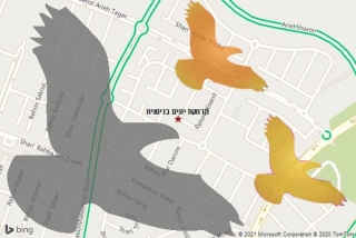 מרחיק יונים בניסנית - הרחקת יונים בניסנית
