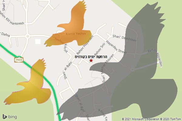 הרחקת יונים בקורנית