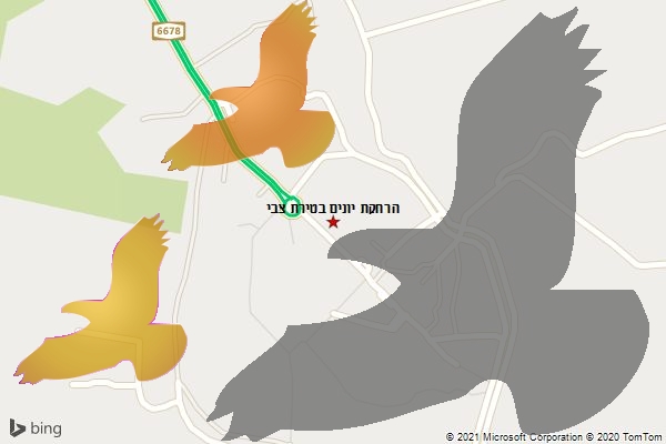 הרחקת יונים בטירת צבי