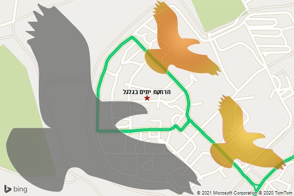 הרחקת יונים בגלגל