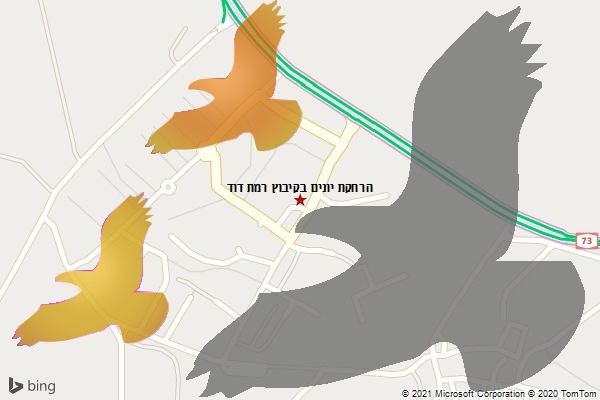 הרחקת יונים בקיבוץ רמת דוד