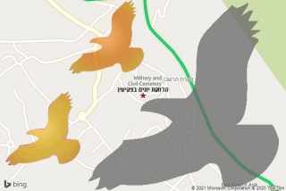 מרחיק יונים בפקיעין - הרחקת יונים בפקיעין