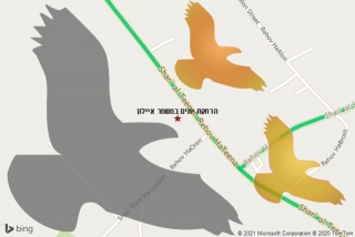 מרחיק יונים במשמר איילון - הרחקת יונים במשמר איילון